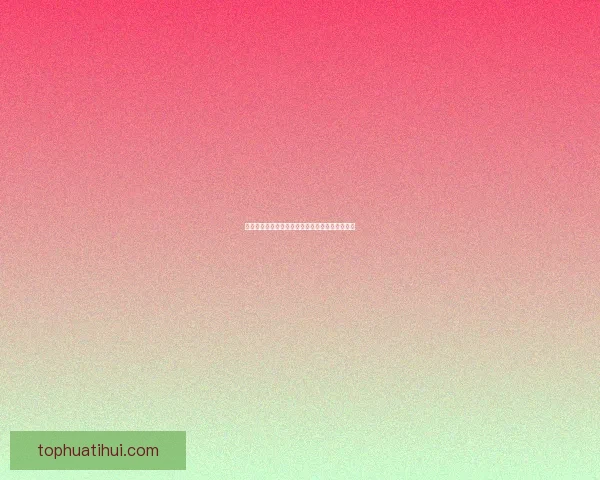 华体会下载最新官方指南全面解析与安全使用方法